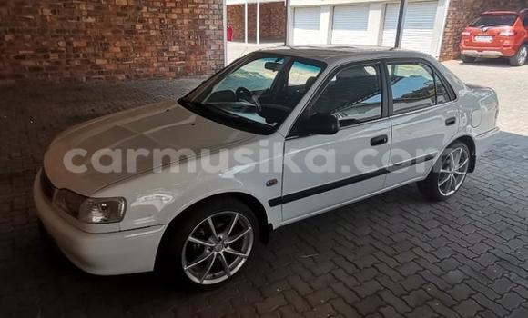 Nunua Ilio tumika Toyota Hilux Nyeupe Gari ndani ya Beitbridge nchini Matabeleland Kusini