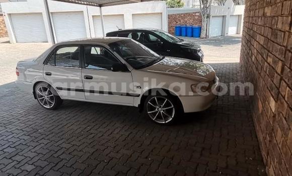 Buy Used Toyota Hilux White Car in Beitbridge in Matabeleland South Buy Used Toyota Hilux White Car in Beitbridge in Matabeleland South