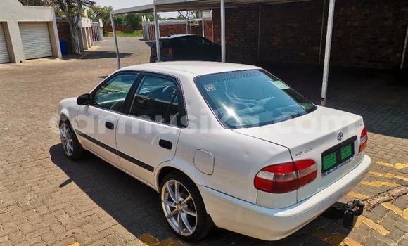 Buy Used Toyota Hilux White Car in Beitbridge in Matabeleland South Buy Used Toyota Hilux White Car in Beitbridge in Matabeleland South