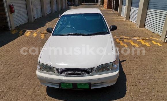 Buy Used Toyota Hilux White Car in Beitbridge in Matabeleland South Buy Used Toyota Hilux White Car in Beitbridge in Matabeleland South