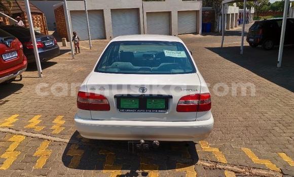 Buy Used Toyota Hilux White Car in Beitbridge in Matabeleland South Buy Used Toyota Hilux White Car in Beitbridge in Matabeleland South