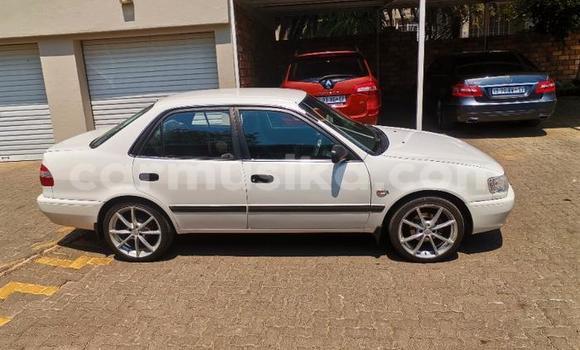 Buy Used Toyota Hilux White Car in Beitbridge in Matabeleland South Buy Used Toyota Hilux White Car in Beitbridge in Matabeleland South