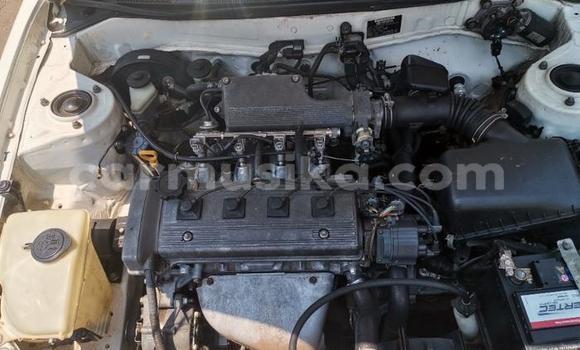 Buy Used Toyota Hilux White Car in Beitbridge in Matabeleland South Buy Used Toyota Hilux White Car in Beitbridge in Matabeleland South