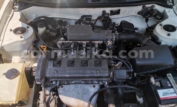 Buy Used Toyota Hilux White Car in Beitbridge in Matabeleland South Buy Used Toyota Hilux White Car in Beitbridge in Matabeleland South