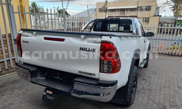 Acheter Occasion Voiture Toyota Hilux Blanc à Beitbridge, Matabeleland South Acheter Occasion Voiture Toyota Hilux Blanc à Beitbridge, Matabeleland South