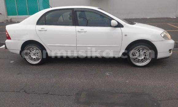 Buy Used Toyota Corolla White Car in Beitbridge in Matabeleland South Buy Used Toyota Corolla White Car in Beitbridge in Matabeleland South