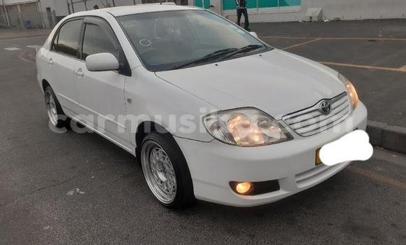Buy Used Toyota Corolla White Car in Beitbridge in Matabeleland South Buy Used Toyota Corolla White Car in Beitbridge in Matabeleland South