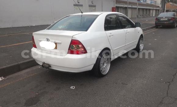 Buy Used Toyota Corolla White Car in Beitbridge in Matabeleland South Buy Used Toyota Corolla White Car in Beitbridge in Matabeleland South