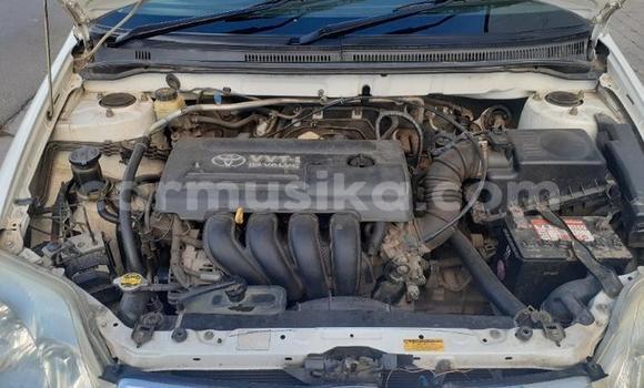 Buy Used Toyota Corolla White Car in Beitbridge in Matabeleland South Buy Used Toyota Corolla White Car in Beitbridge in Matabeleland South