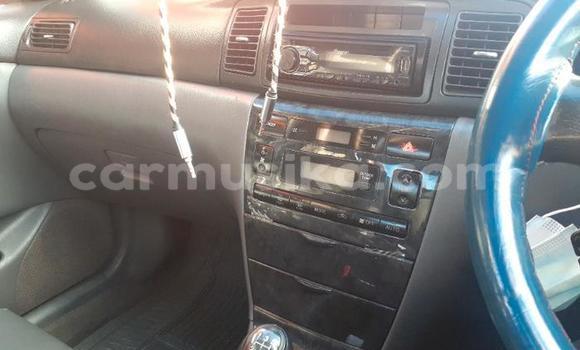 Buy Used Toyota Corolla White Car in Beitbridge in Matabeleland South Buy Used Toyota Corolla White Car in Beitbridge in Matabeleland South