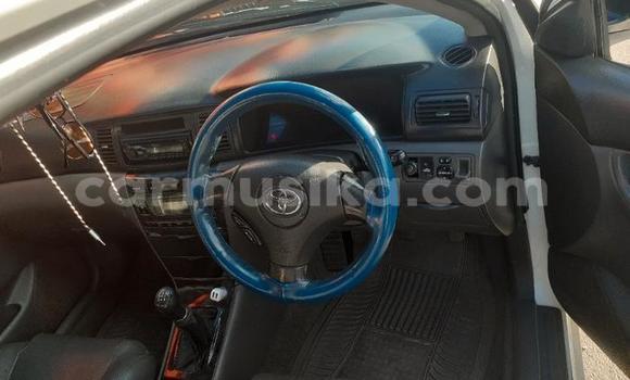 Buy Used Toyota Corolla White Car in Beitbridge in Matabeleland South Buy Used Toyota Corolla White Car in Beitbridge in Matabeleland South