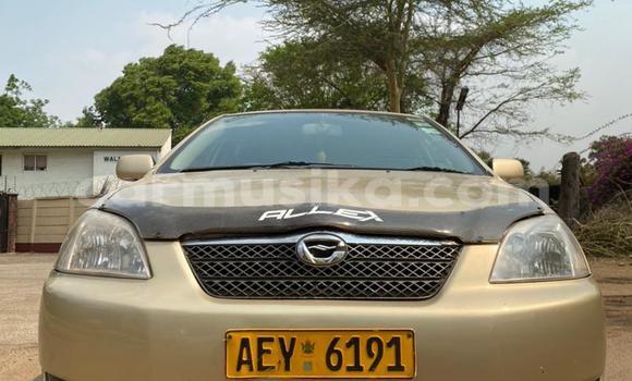 Acheter Occasion Voiture Toyota Allex Autre à Harare, Harare Acheter Occasion Voiture Toyota Allex Autre à Harare, Harare