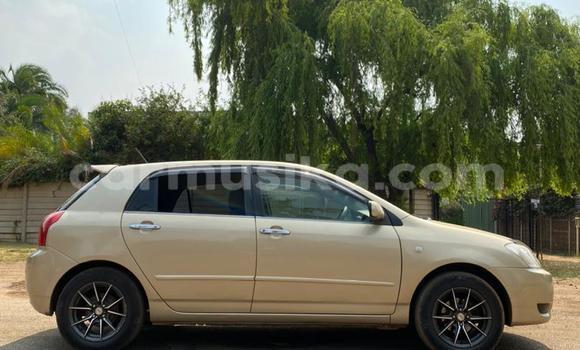 Acheter Occasion Voiture Toyota Allex Autre à Harare, Harare Acheter Occasion Voiture Toyota Allex Autre à Harare, Harare