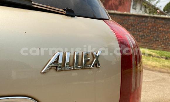 Acheter Occasion Voiture Toyota Allex Autre à Harare, Harare Acheter Occasion Voiture Toyota Allex Autre à Harare, Harare