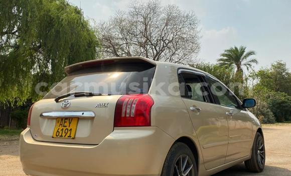 Acheter Occasion Voiture Toyota Allex Autre à Harare, Harare Acheter Occasion Voiture Toyota Allex Autre à Harare, Harare