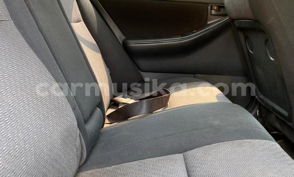 Acheter Occasion Voiture Toyota Allex Autre à Harare, Harare Acheter Occasion Voiture Toyota Allex Autre à Harare, Harare