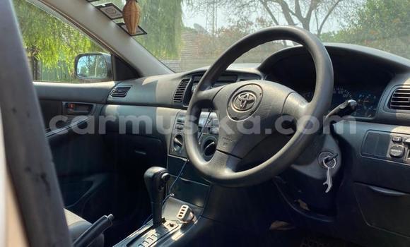 Acheter Occasion Voiture Toyota Allex Autre à Harare, Harare Acheter Occasion Voiture Toyota Allex Autre à Harare, Harare