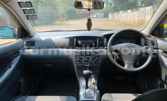 Acheter Occasion Voiture Toyota Allex Autre à Harare, Harare Acheter Occasion Voiture Toyota Allex Autre à Harare, Harare