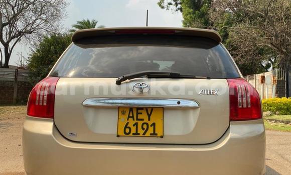 Acheter Occasion Voiture Toyota Allex Autre à Harare, Harare Acheter Occasion Voiture Toyota Allex Autre à Harare, Harare