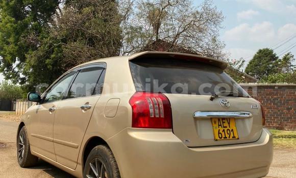 Acheter Occasion Voiture Toyota Allex Autre à Harare, Harare Acheter Occasion Voiture Toyota Allex Autre à Harare, Harare