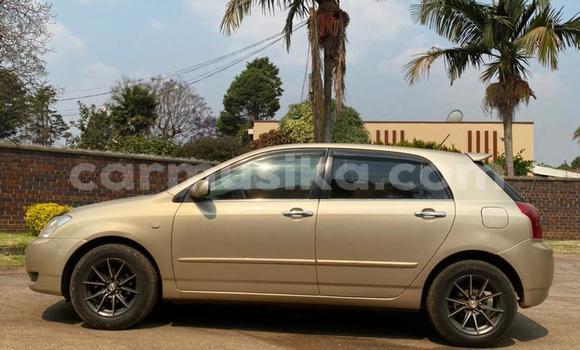 Acheter Occasion Voiture Toyota Allex Autre à Harare, Harare Acheter Occasion Voiture Toyota Allex Autre à Harare, Harare