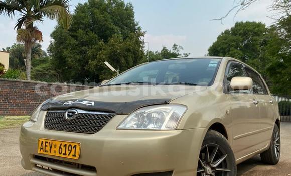 Acheter Occasion Voiture Toyota Allex Autre à Harare, Harare Acheter Occasion Voiture Toyota Allex Autre à Harare, Harare