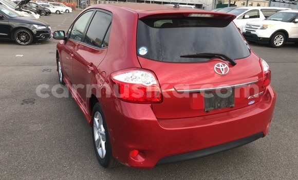 Nunua Ilio tumika Toyota Allex Nyingine Gari ndani ya Beitbridge nchini Matabeleland Kusini Nunua Ilio tumika Toyota Allex Nyingine Gari ndani ya Beitbridge nchini Matabeleland Kusini