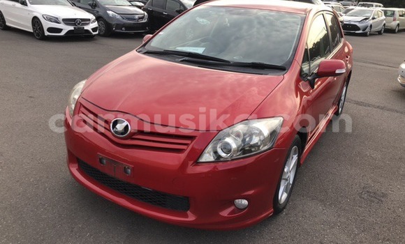 Nunua Ilio tumika Toyota Allex Nyingine Gari ndani ya Beitbridge nchini Matabeleland Kusini Nunua Ilio tumika Toyota Allex Nyingine Gari ndani ya Beitbridge nchini Matabeleland Kusini