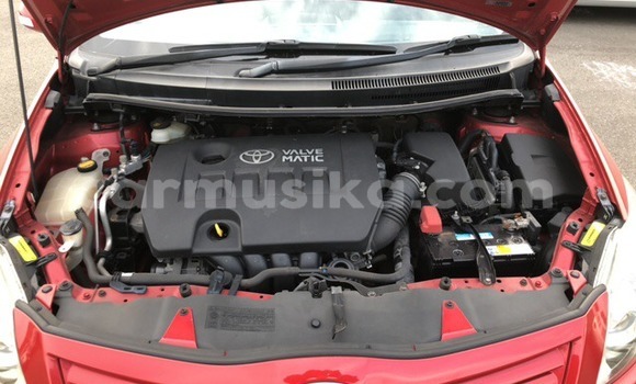 Nunua Ilio tumika Toyota Allex Nyingine Gari ndani ya Beitbridge nchini Matabeleland Kusini Nunua Ilio tumika Toyota Allex Nyingine Gari ndani ya Beitbridge nchini Matabeleland Kusini