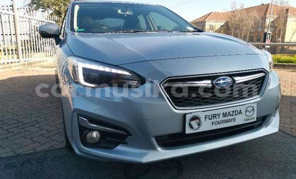 Buy Used Subaru Ascent Silver Car in Beitbridge in Matabeleland South