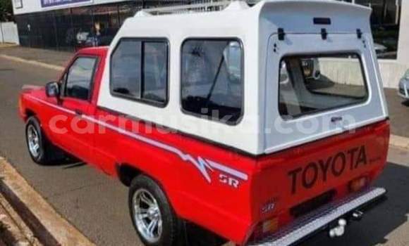 Tenga Tsaru Toyota Hilux Beige Mota in Beitbridge in Matabeleland South Tenga Tsaru Toyota Hilux Beige Mota in Beitbridge in Matabeleland South