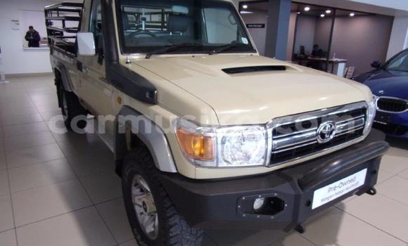 Buy Used Toyota Land Cruiser Silver Car in Beitbridge in Matabeleland South