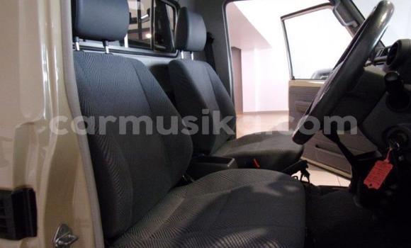 Acheter Occasion Voiture Toyota Land Cruiser Gris à Beitbridge, Matabeleland South Acheter Occasion Voiture Toyota Land Cruiser Gris à Beitbridge, Matabeleland South