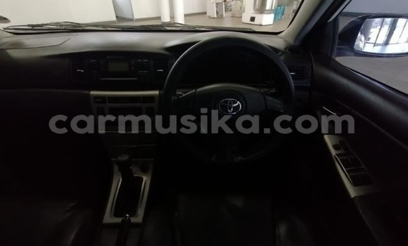 Acheter Occasion Voiture Toyota Runx Blanc à Beitbridge, Matabeleland South Acheter Occasion Voiture Toyota Runx Blanc à Beitbridge, Matabeleland South