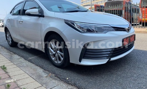 Buy Used Toyota Corolla White Car in Beitbridge in Matabeleland South