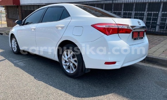 Tenga Tsaru Toyota Corolla Chena Mota in Beitbridge in Matabeleland South Tenga Tsaru Toyota Corolla Chena Mota in Beitbridge in Matabeleland South