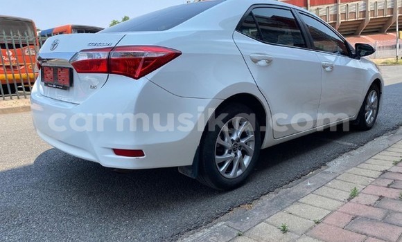 Tenga Tsaru Toyota Corolla Chena Mota in Beitbridge in Matabeleland South Tenga Tsaru Toyota Corolla Chena Mota in Beitbridge in Matabeleland South