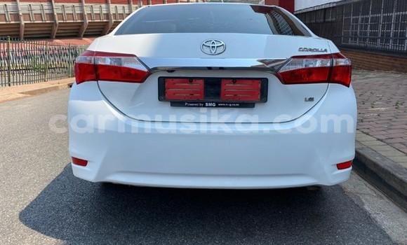 Tenga Tsaru Toyota Corolla Chena Mota in Beitbridge in Matabeleland South Tenga Tsaru Toyota Corolla Chena Mota in Beitbridge in Matabeleland South