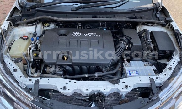 Tenga Tsaru Toyota Corolla Chena Mota in Beitbridge in Matabeleland South Tenga Tsaru Toyota Corolla Chena Mota in Beitbridge in Matabeleland South