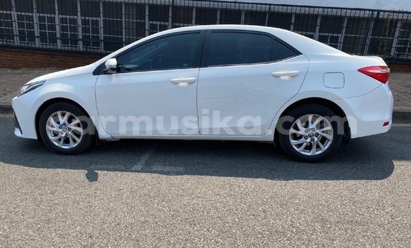 Tenga Tsaru Toyota Corolla Chena Mota in Beitbridge in Matabeleland South Tenga Tsaru Toyota Corolla Chena Mota in Beitbridge in Matabeleland South