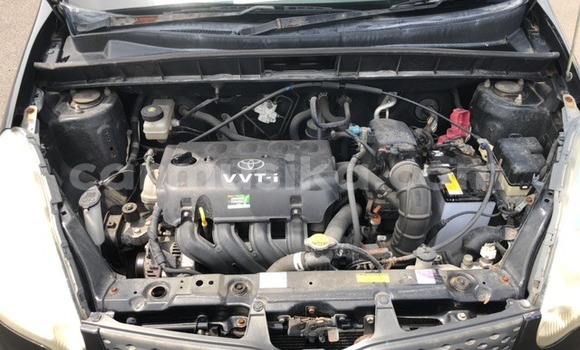 Acheter Occasion Voiture Toyota FunCargo Autre à Beitbridge, Matabeleland South Acheter Occasion Voiture Toyota FunCargo Autre à Beitbridge, Matabeleland South