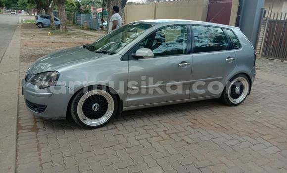 Buy Used Volkswagen Polo Silver Car in Beitbridge in Matabeleland South
