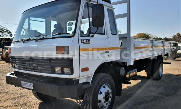 Buy Used Nissan UD White Truck in Beitbridge in Matabeleland South