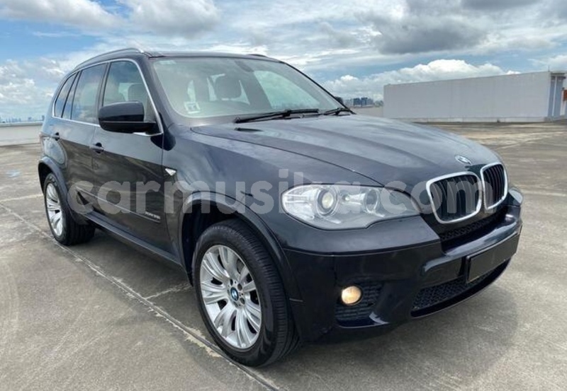 Big with watermark bmw x5 matabeleland south beitbridge 31600