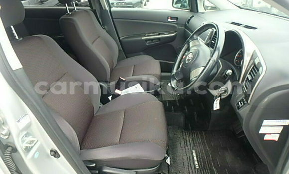 Acheter Occasion Voiture Toyota Wish Gris à Beitbridge, Matabeleland South Acheter Occasion Voiture Toyota Wish Gris à Beitbridge, Matabeleland South