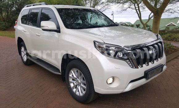 Buy Used Toyota Land Cruiser Prado White Car in Harare in Harare