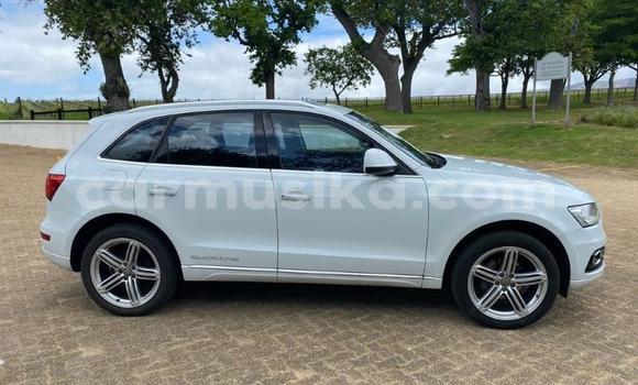 Acheter Occasion Voiture Audi Q5 Blanc à Beitbridge, Matabeleland South Acheter Occasion Voiture Audi Q5 Blanc à Beitbridge, Matabeleland South