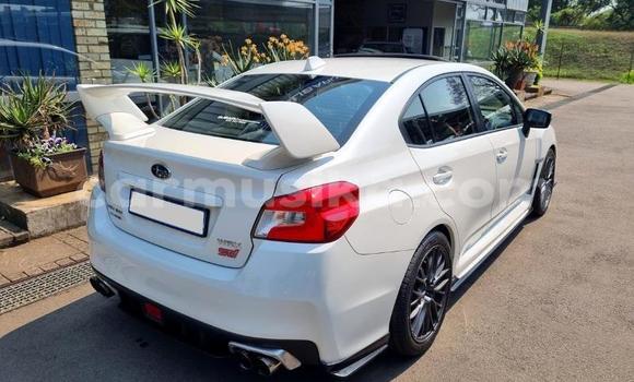 Acheter Occasion Voiture Subaru WRX Blanc à Beitbridge, Matabeleland South Acheter Occasion Voiture Subaru WRX Blanc à Beitbridge, Matabeleland South