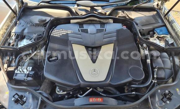 Acheter Occasion Voiture Mercedes-Benz E-Classe Gris à Beitbridge, Matabeleland South Acheter Occasion Voiture Mercedes-Benz E-Classe Gris à Beitbridge, Matabeleland South