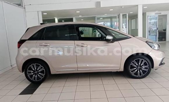 Tenga Tsaru Honda Fit Zvimwe Mota in Beitbridge in Matabeleland South Tenga Tsaru Honda Fit Zvimwe Mota in Beitbridge in Matabeleland South